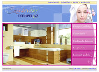 Online Store