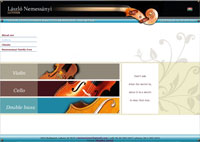 Musician website