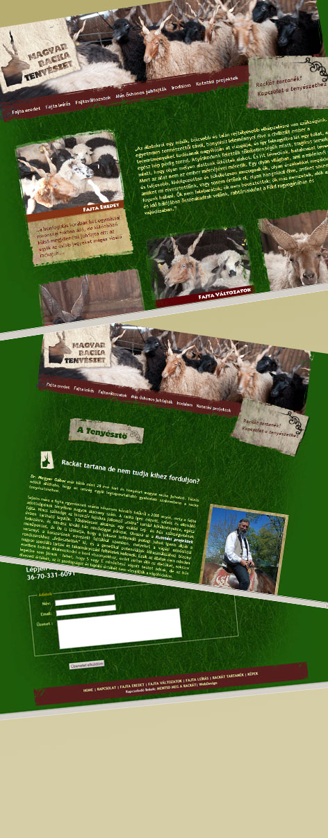 hungarian racka farm